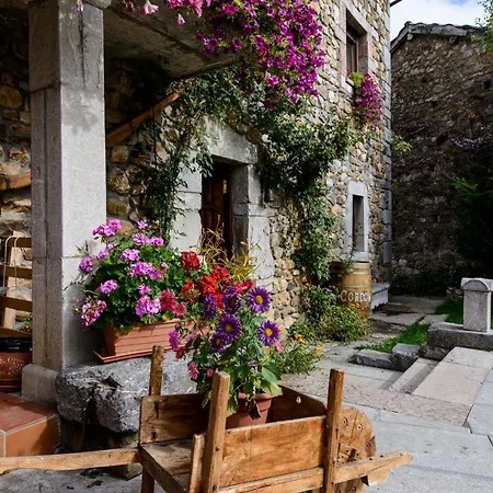 Sol Del Mediodia * Acebedo